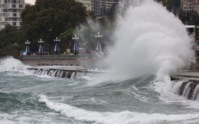 Guidelines for Filipino Maids And Indonesian Helpers During Typhoons